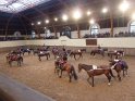 2012-11-13 17-40-55 Formations equestres-Reprise des tandems
